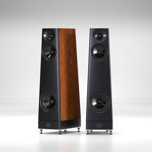 YG Acoustics ASCENT Speaker